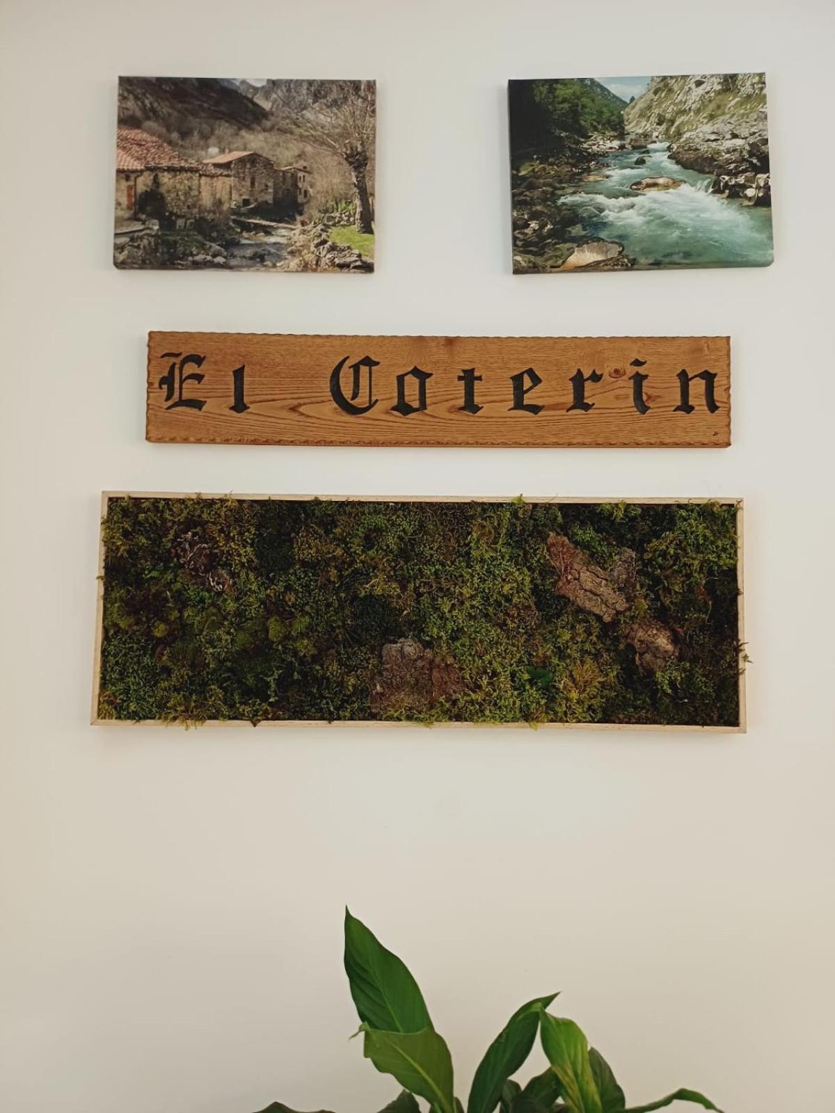 Hotel El Coterin Apartamentos Y Habitaciones 阿里纳斯·德·卡伯瑞勒斯 外观 照片